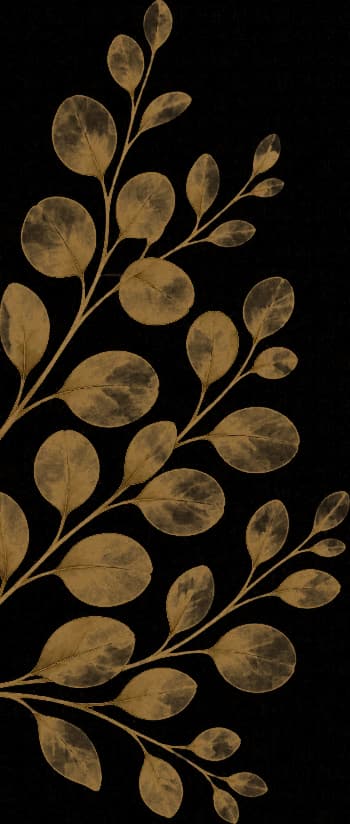 Gouden aquarel van een eucalyptustak