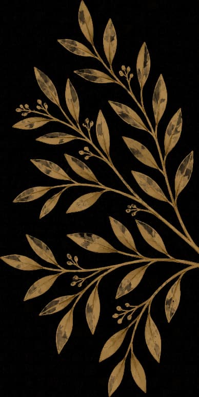 Gouden aquarel van een olijftak